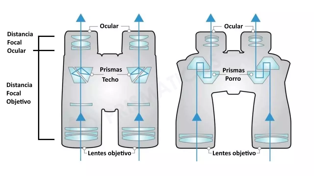 aumento apertura prismaticos